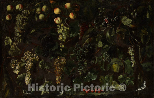 Art Print : Bartolomeo Cavarozzi - Grape Vines and Fruit, with Three Wagtails : Vintage Wall Art