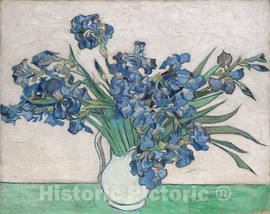 Art Print : Vincent Van Gogh - Irises : Vintage Wall Art
