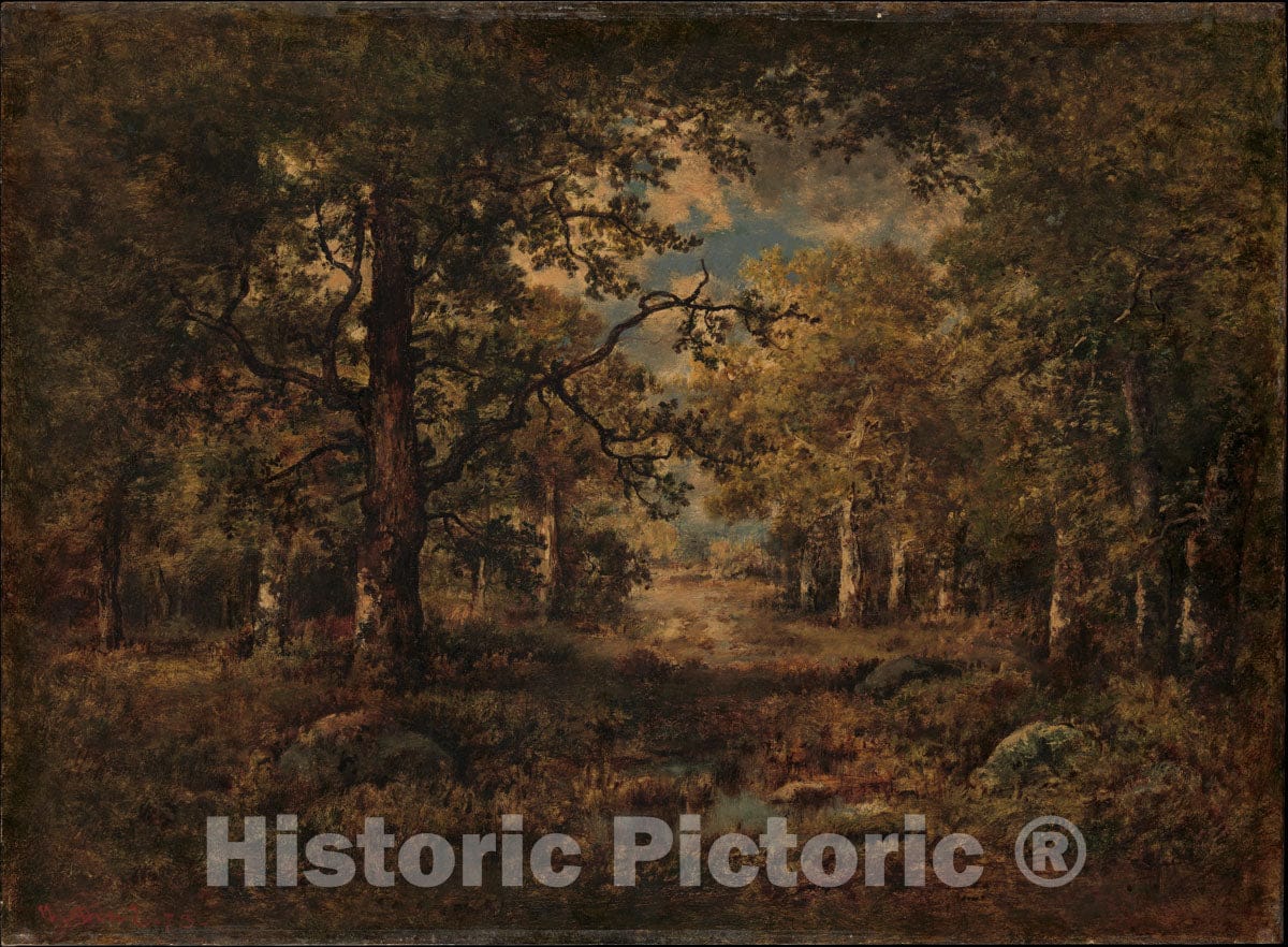 Art Print : Narcisse-Virgile Diaz de la Peña - A Vista Through Trees: Fontainebleau : Vintage Wall Art