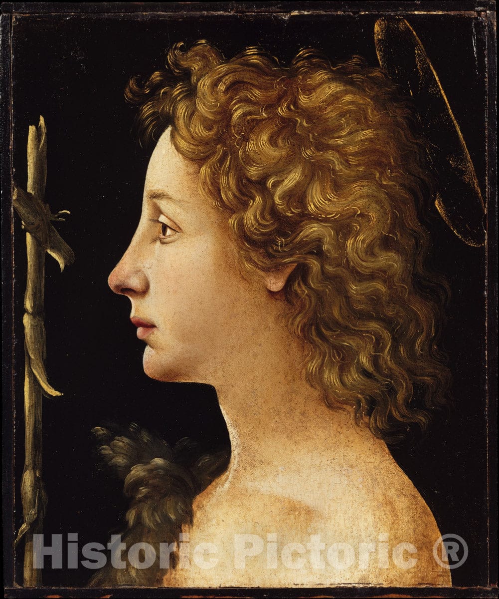 Art Print : Piero di Cosimo (Piero di Lorenzo di Piero d'Antonio) - The Young Saint John The Baptist : Vintage Wall Art