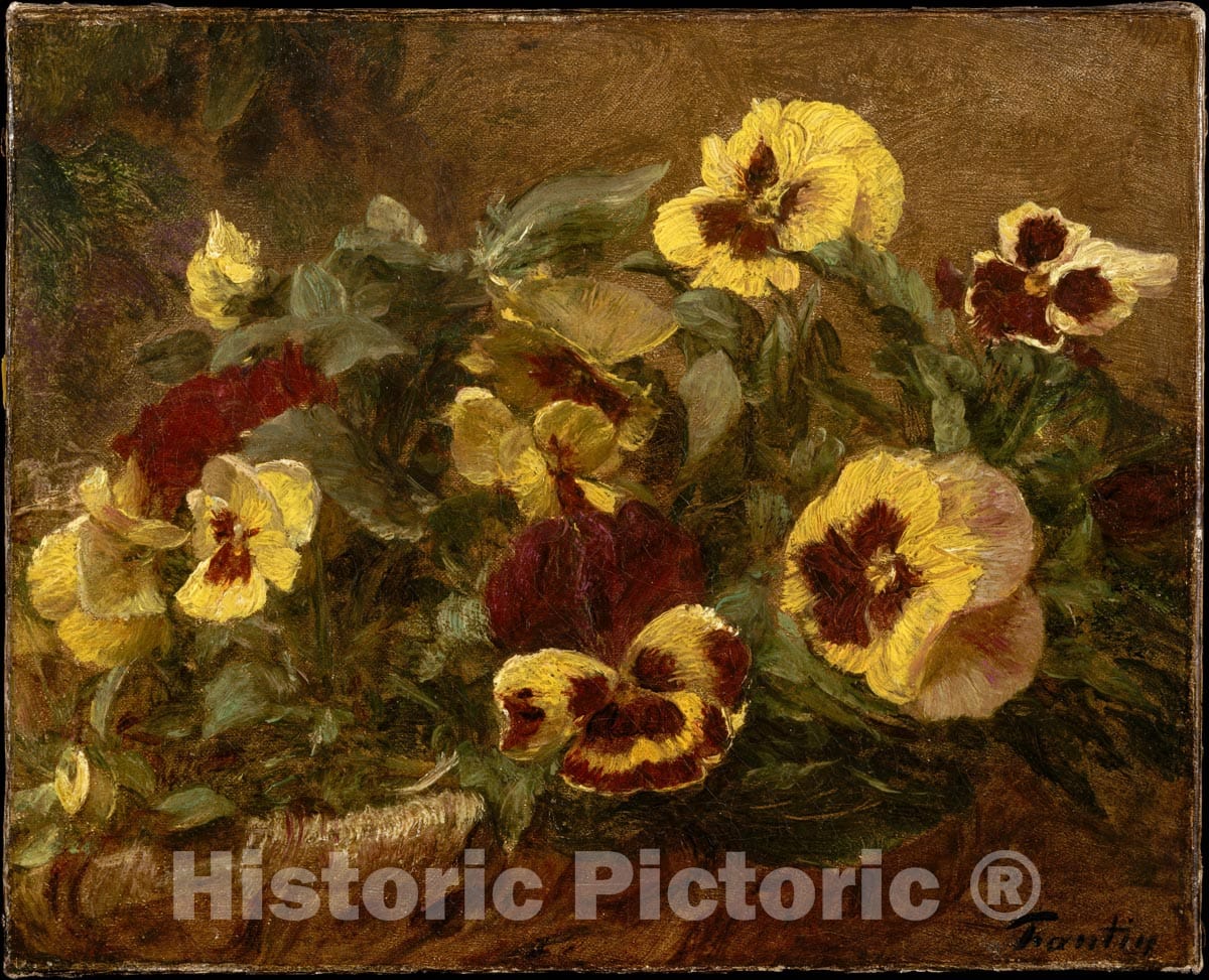 Art Print : Henri Fantin-Latour - Pansies : Vintage Wall Art