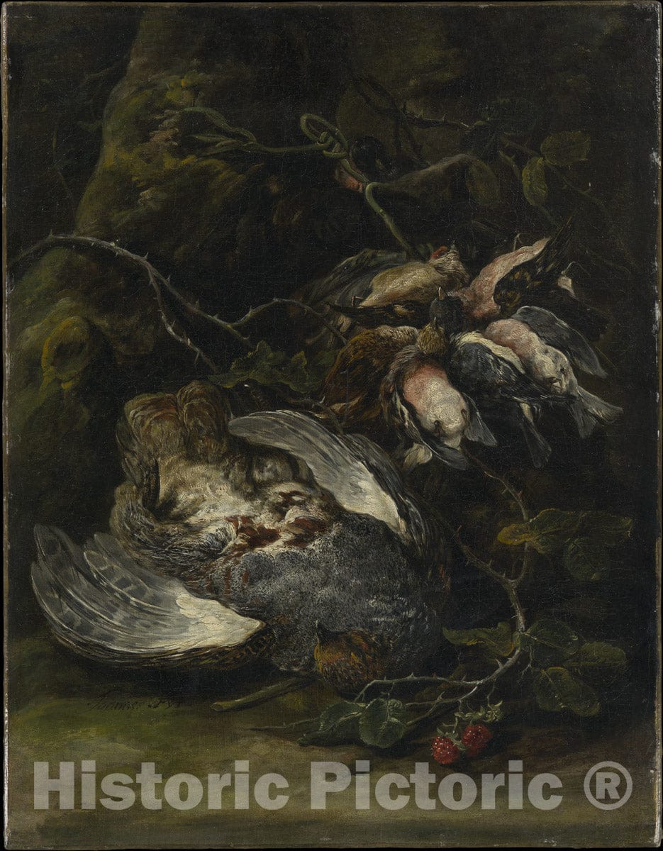 Art Print : Jan Fyt - A Partridge and Small Game Birds : Vintage Wall Art