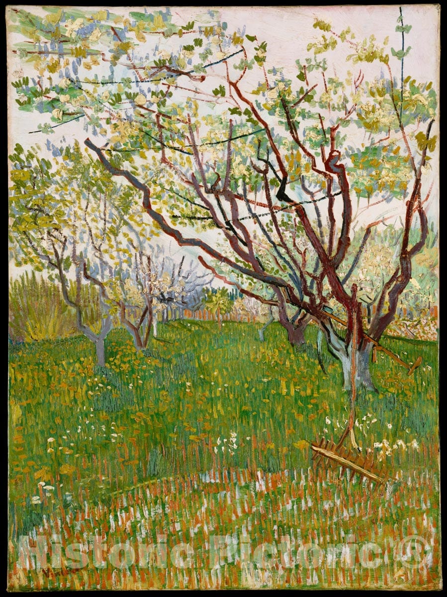 Art Print : Vincent Van Gogh - The Flowering Orchard : Vintage Wall Art