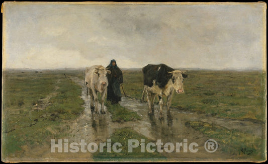 Art Print : Anton Mauve - Changing Pasture : Vintage Wall Art