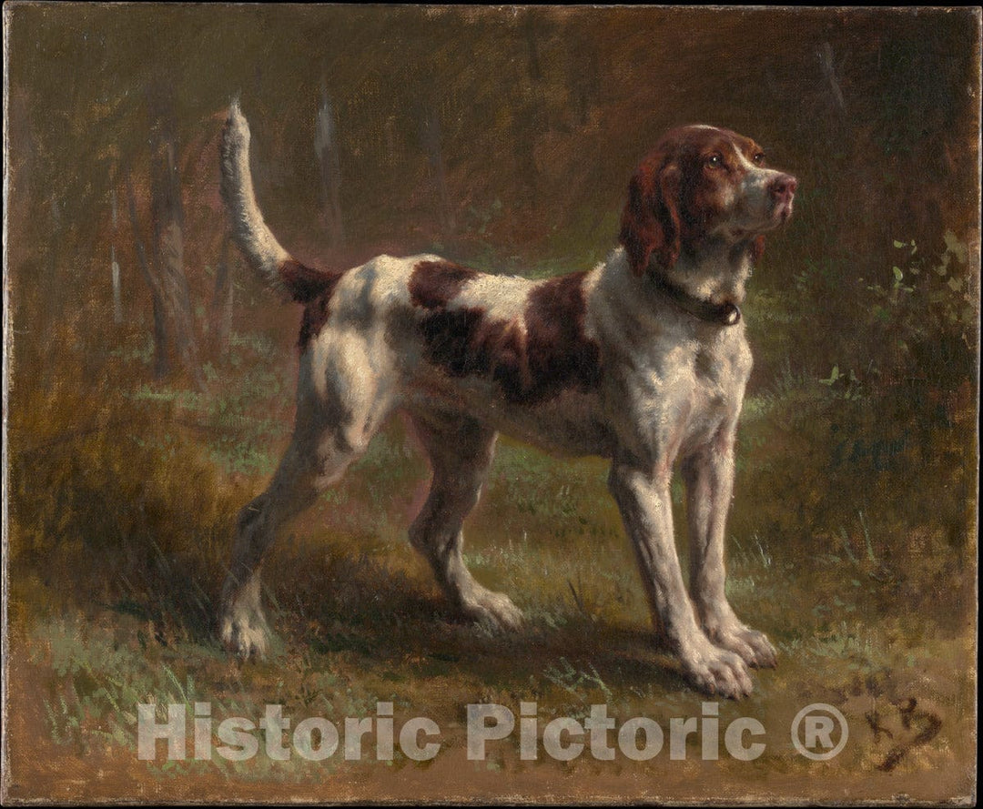 Art Print : Rosa Bonheur - A Limier Briquet Hound : Vintage Wall Art