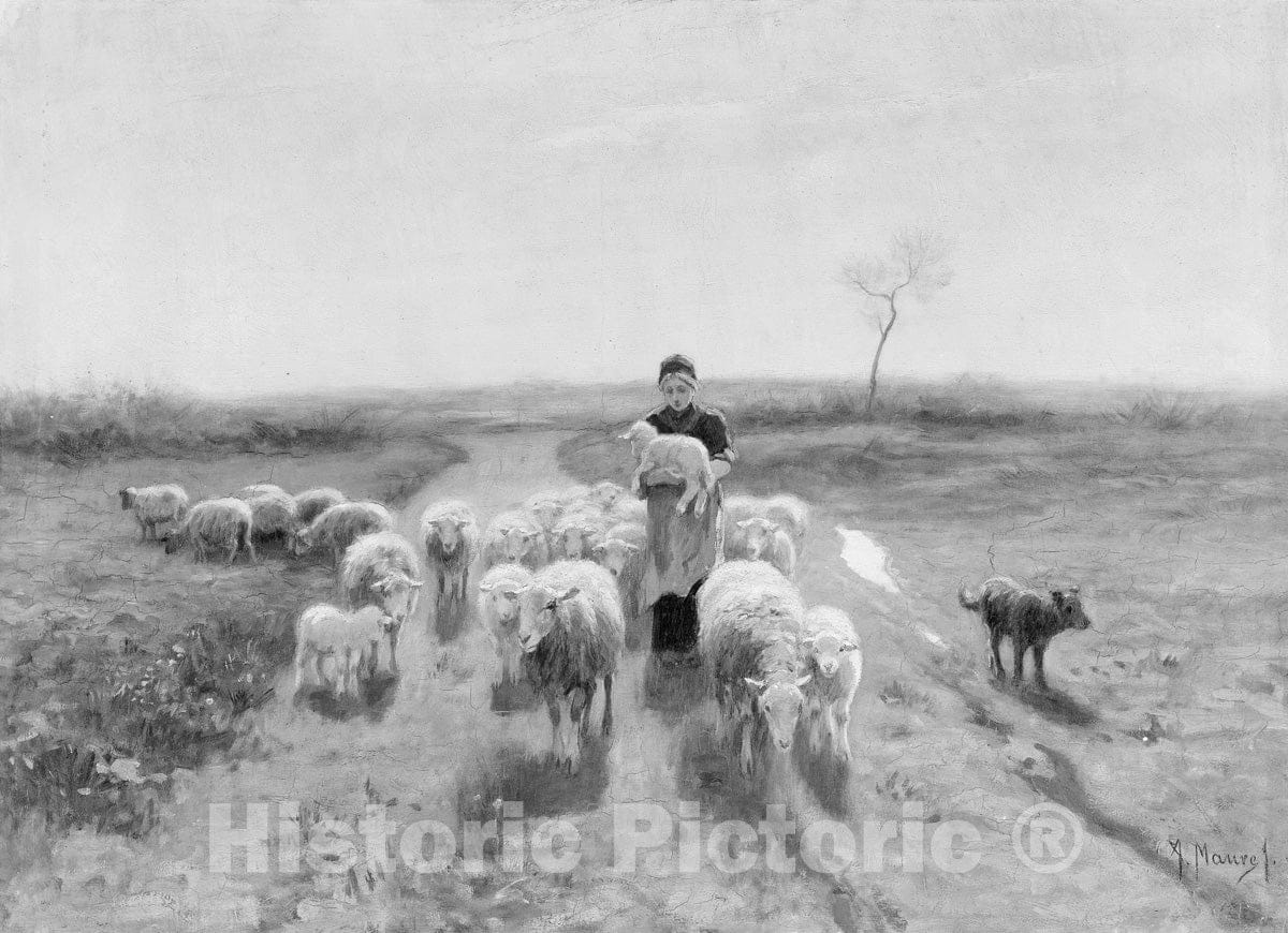 Art Print : Anton Mauve - A Shepherdess and Her Flock : Vintage Wall Art