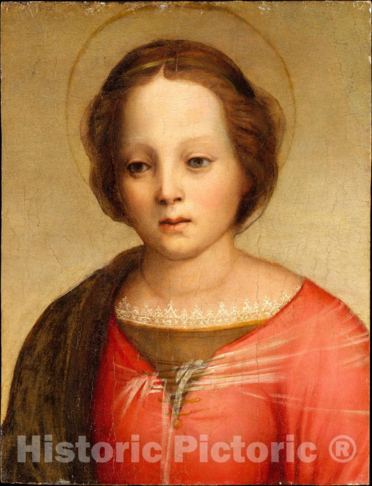 Art Print : Franciabigio (Francesco di Cristofano) - Head of The Madonna : Vintage Wall Art