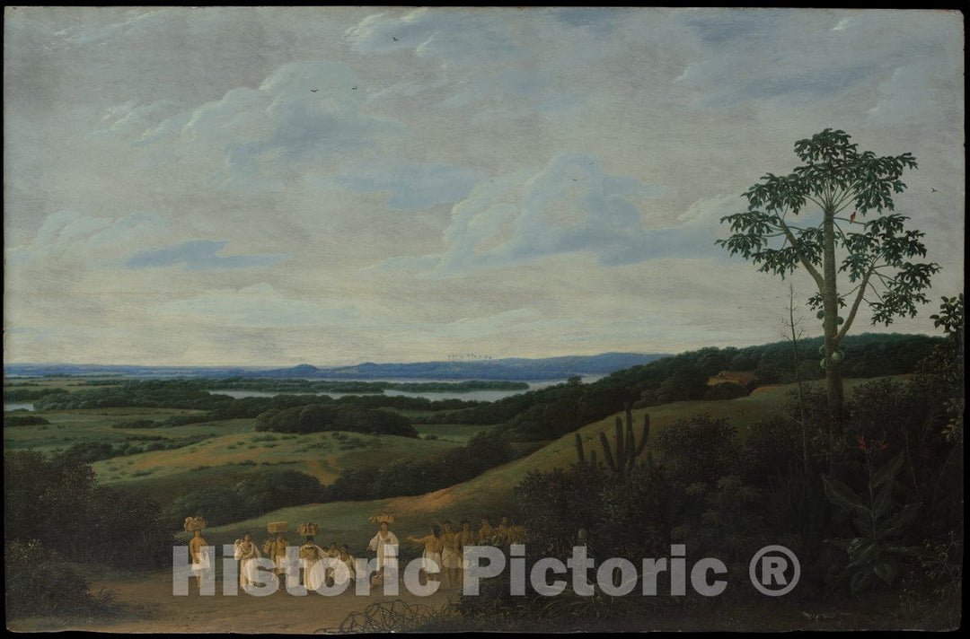 Art Print : Frans Post - A Brazilian Landscape : Vintage Wall Art