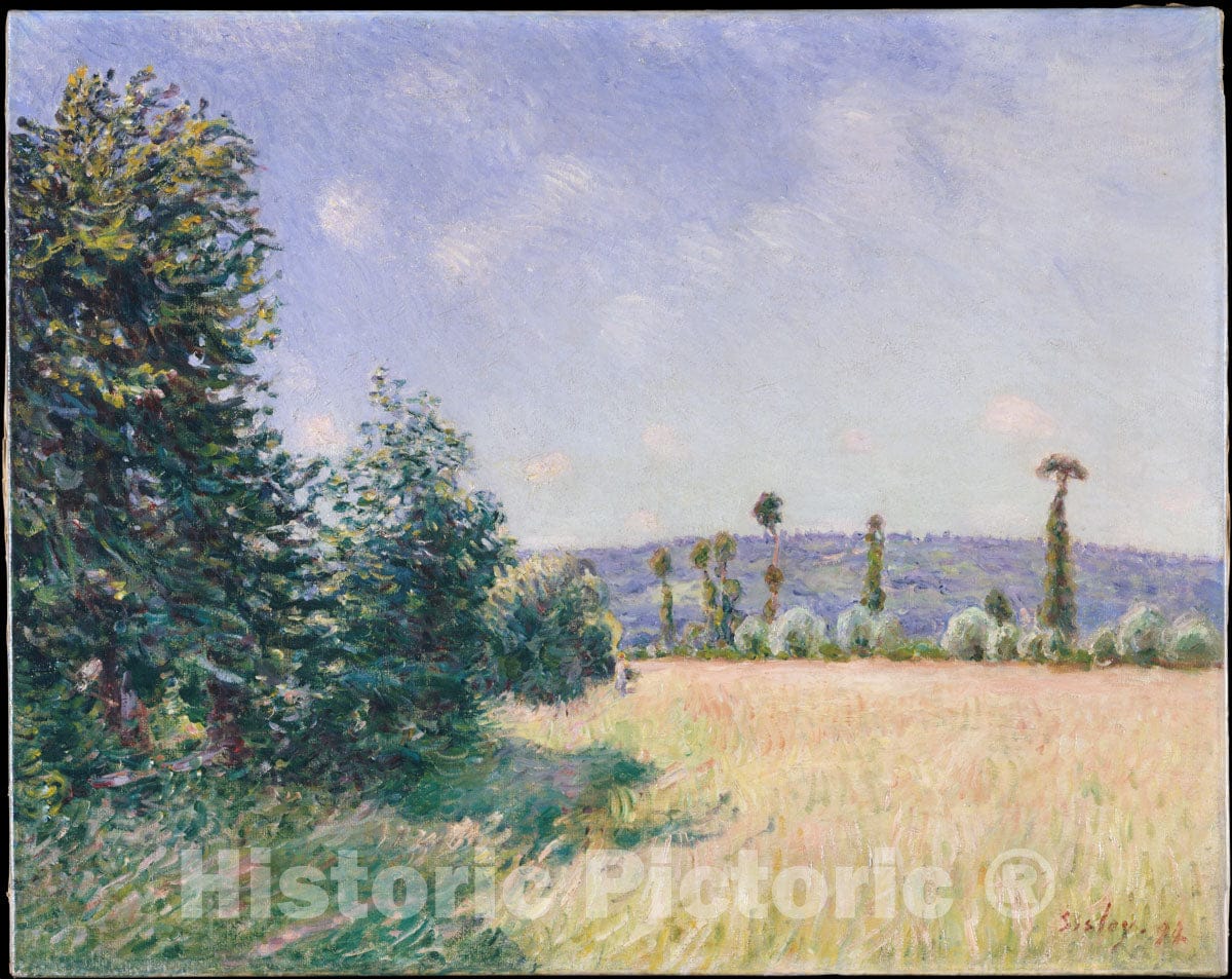 Art Print : Alfred Sisley - Sahurs Meadows in Morning Sun : Vintage Wall Art
