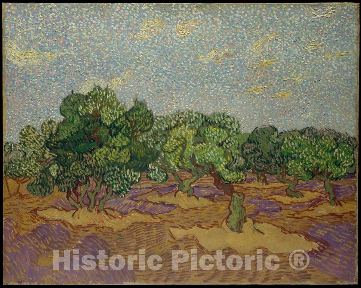 Art Print : Vincent Van Gogh - Olive Trees : Vintage Wall Art