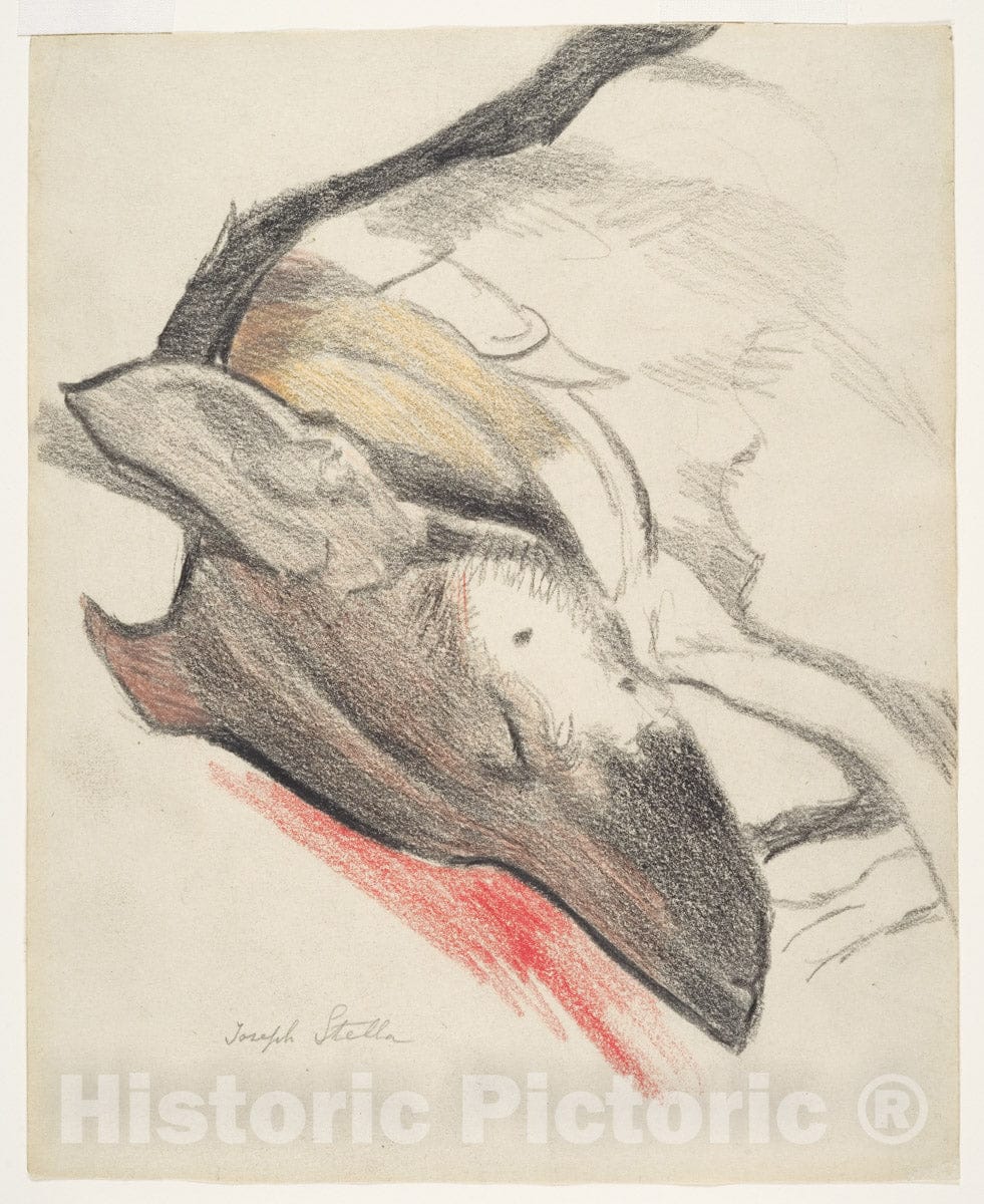 Art Print : Joseph Stella - Sleeping Dog : Vintage Wall Art