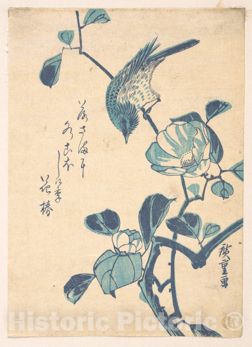 Art Print : Utagawa Hiroshige - Camellia and Bird - Japan : Vintage Wall Art