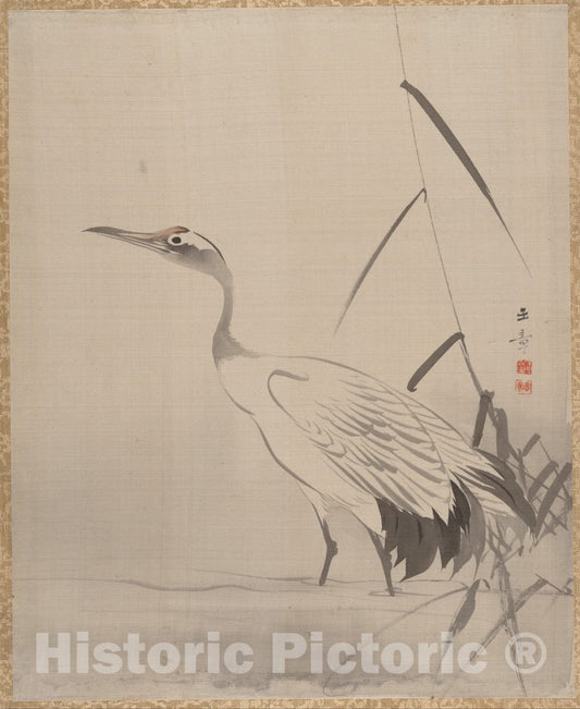 Art Print : Kawabata Gyokush? - Crane Among Reeds - Japan : Vintage Wall Art