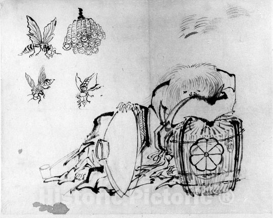 Art Print : Katsushika Hokusai - Sh?j? - Japan : Vintage Wall Art