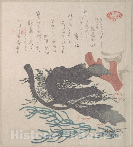 Art Print : Kubo Shunman - Various Seaweed - Japan : Vintage Wall Art