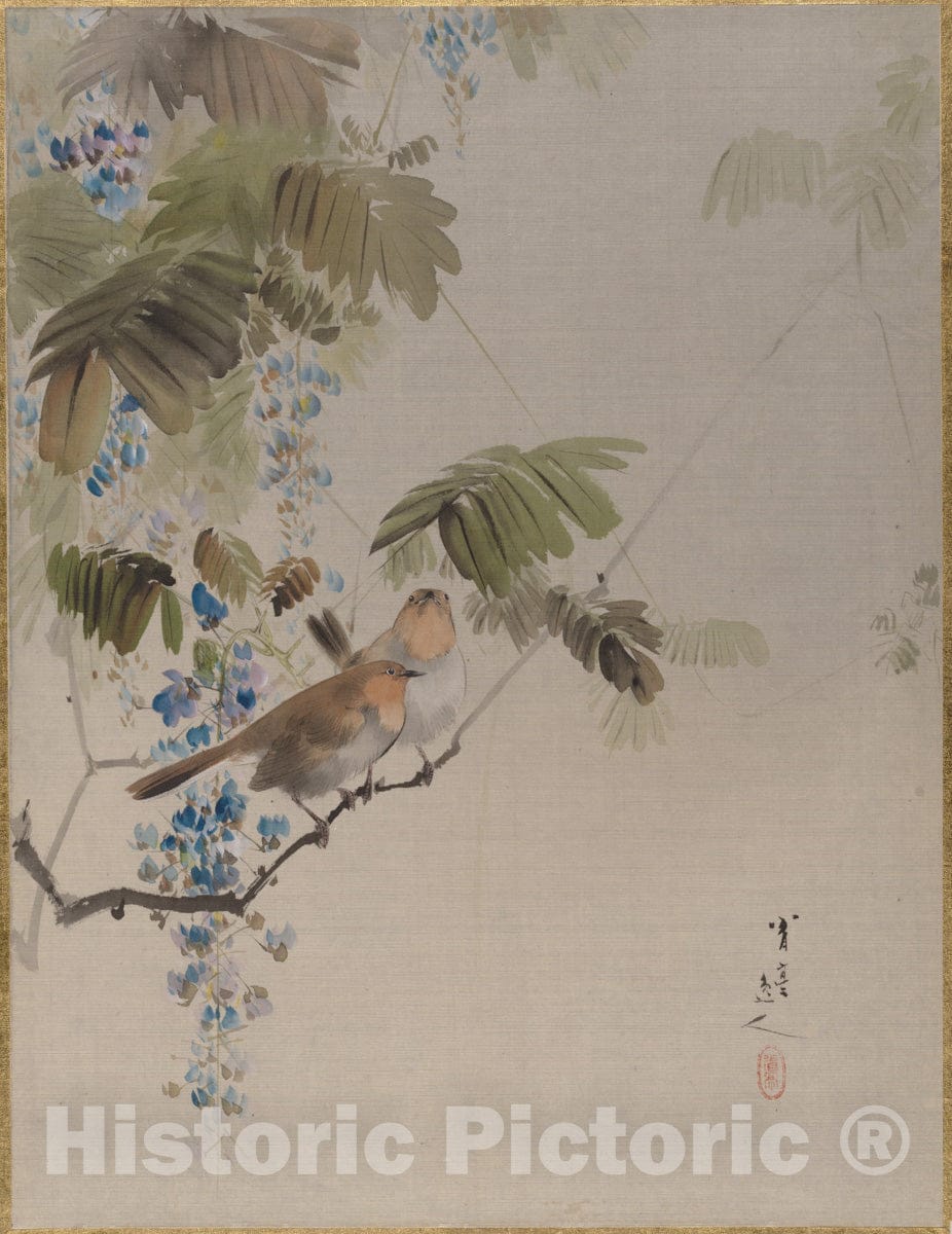 Art Print : Watanabe Seitei - Birds and Flowers - Japan : Vintage Wall Art