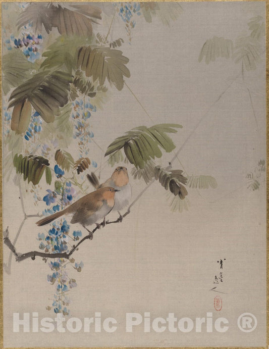 Art Print : Watanabe Seitei - Birds and Flowers - Japan : Vintage Wall Art