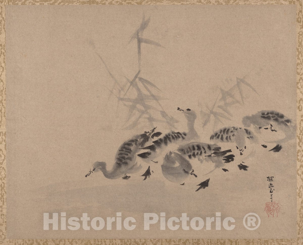Art Print : Kano Tan'y? - Ducks and Reeds - Japan : Vintage Wall Art