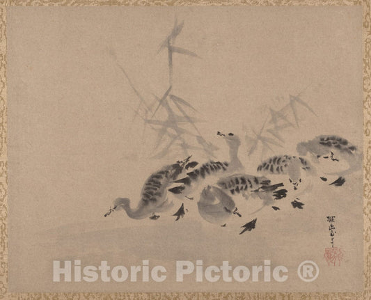 Art Print : Kano Tan'y? - Ducks and Reeds - Japan : Vintage Wall Art