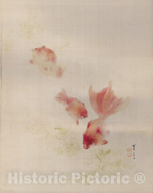 Art Print : Watanabe Seitei - Gold-Fishes - Japan : Vintage Wall Art