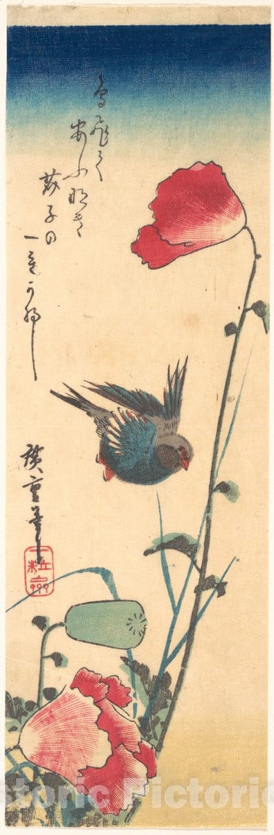 Art Print : Utagawa Hiroshige - A Bluebird and Poppies : Vintage Wall Art