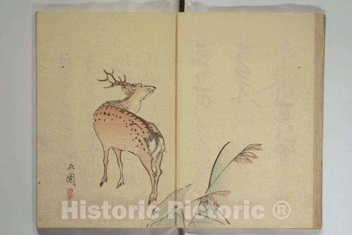 Art Print : Nagayama Koin (Hirotora) - The Seik? Album (Seik? j?)