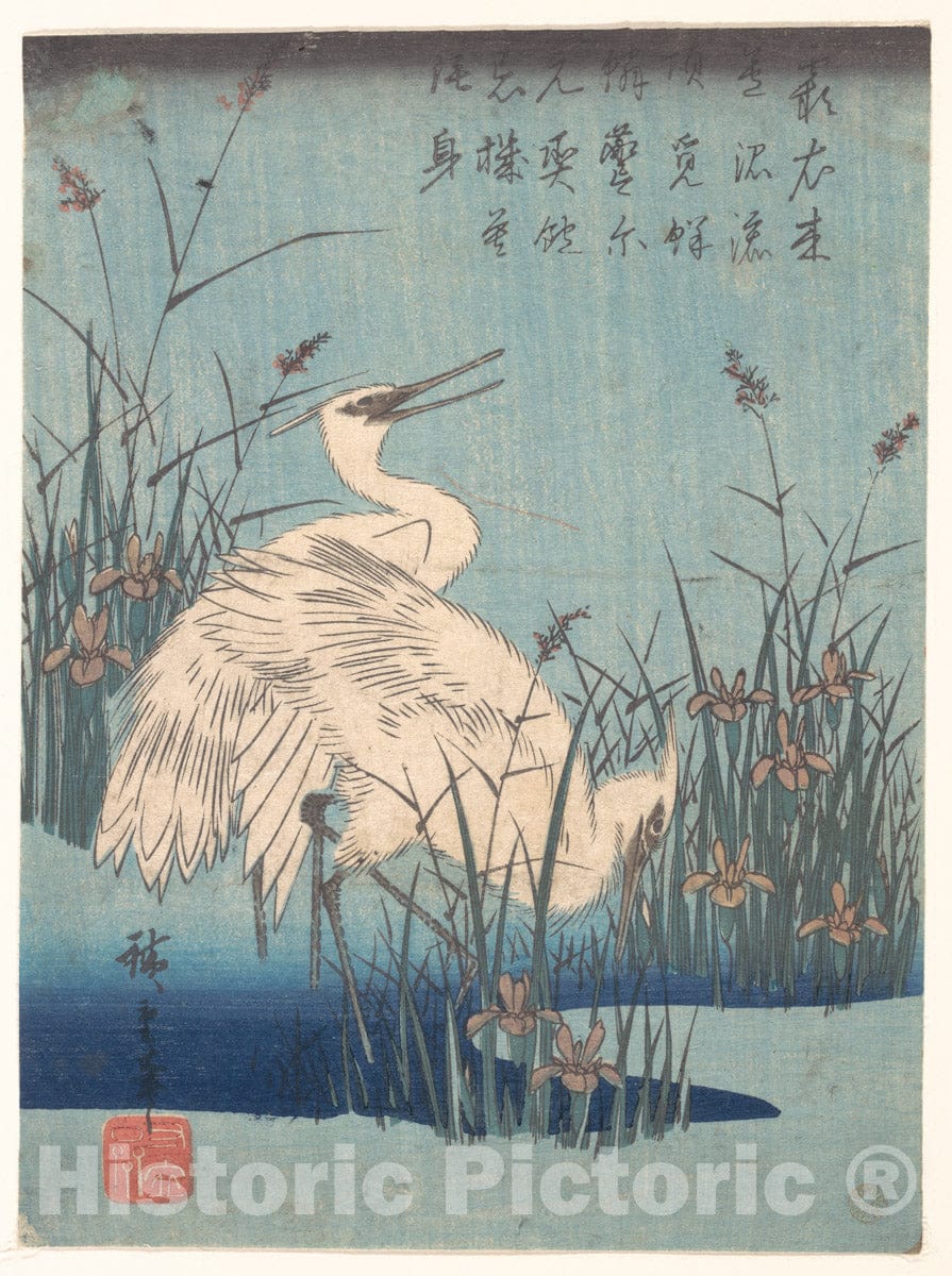 Art Print : Utagawa Hiroshige - Egret in Iris and Grasses - Japan : Vintage Wall Art