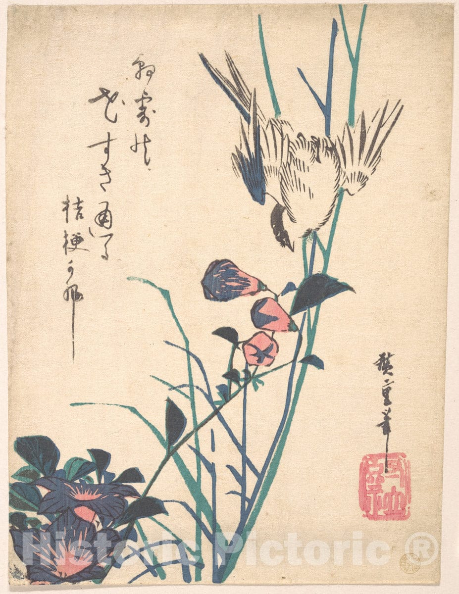 Art Print : Utagawa Hiroshige - Large-Flowered Flat Bill and Sparrow - Japan : Vintage Wall Art