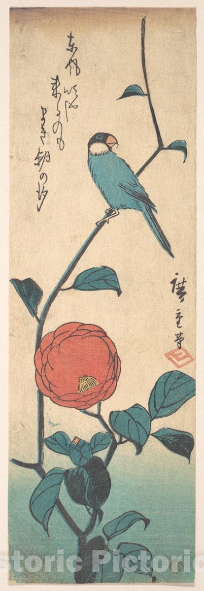 Art Print : Utagawa Hiroshige - Camellia and Finch : Vintage Wall Art