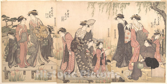Art Print : Katsukawa Shunch? - Courtesans in an Iris Garden - Japan : Vintage Wall Art