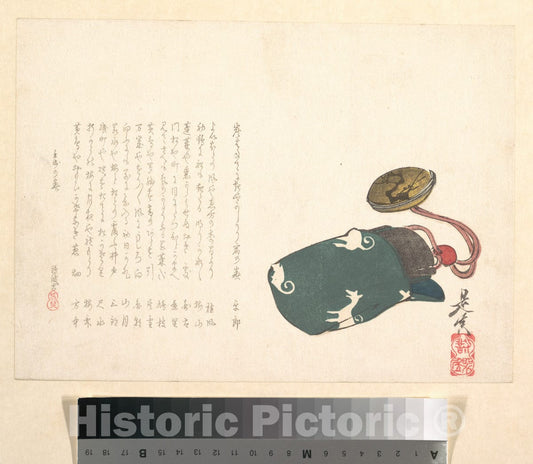 Art Print : Shibata Zeshin - Inr? Partly in a Green Bag with Pattern of White Foxes - Japan : Vintage Wall Art