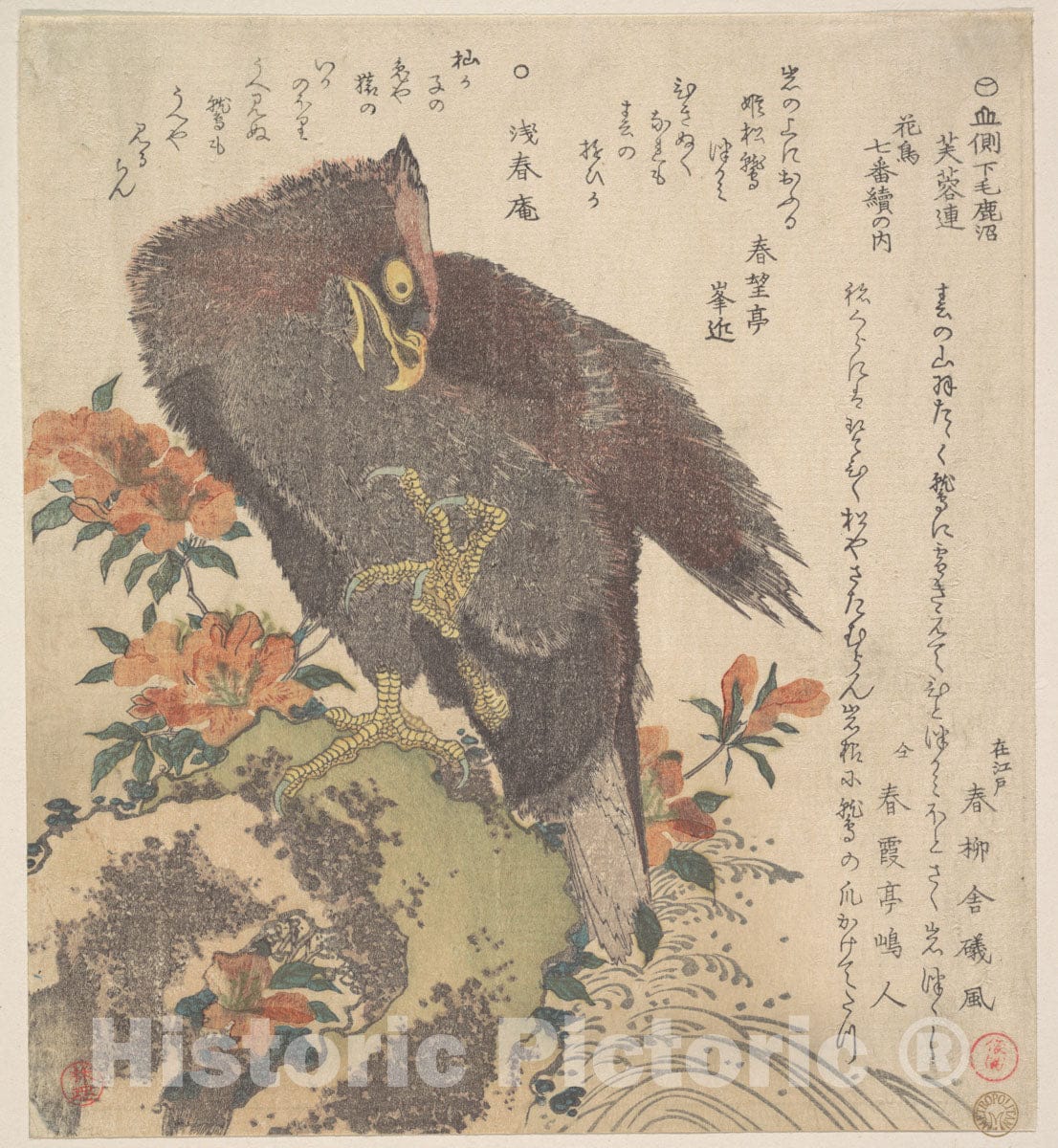 Art Print : Kubo Shunman - Eagle on a Rock