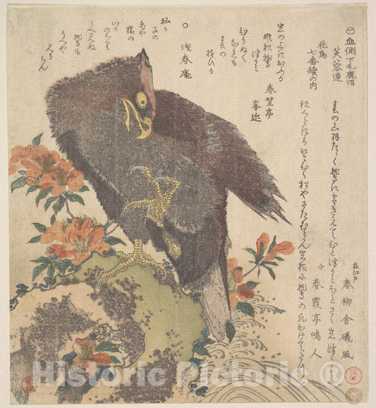 Art Print : Kubo Shunman - Eagle on a Rock