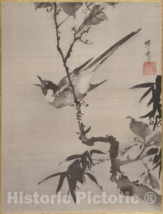 Art Print : Kawanabe Ky?sai - Singing Bird on a Branch - Japan : Vintage Wall Art