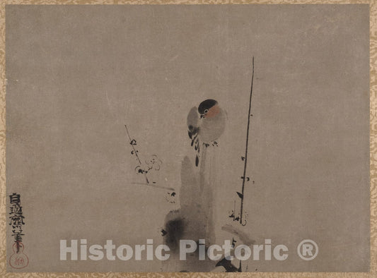 Art Print : Kano Naonobu - Bird on a Plum Tree - Japan : Vintage Wall Art