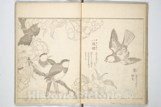 Art Print : Kitao Shigemasa - True Depictions of Bird and Flower Pictures (Kach?e shashin zue) - Japan : Vintage Wall Art