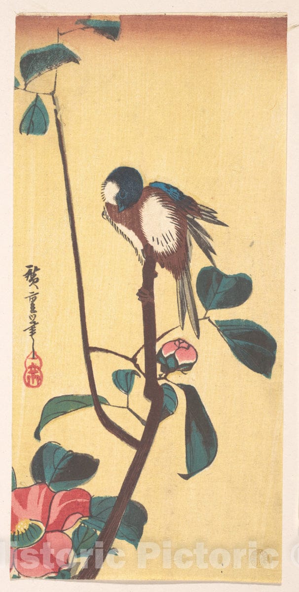 Art Print : Utagawa Hiroshige - Camellia and Blue-Headed Bird - Japan : Vintage Wall Art