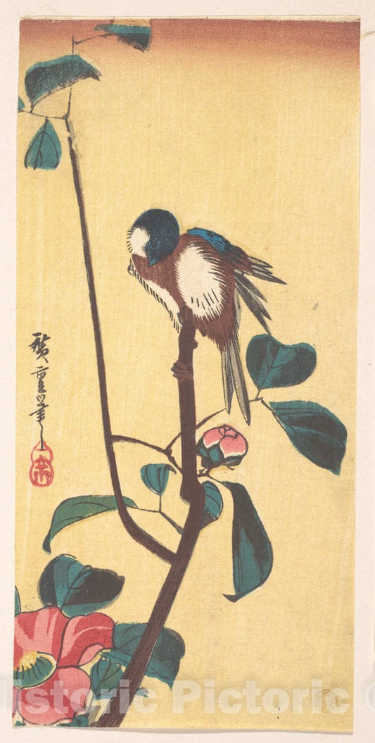 Art Print : Utagawa Hiroshige - Camellia and Blue-Headed Bird - Japan : Vintage Wall Art