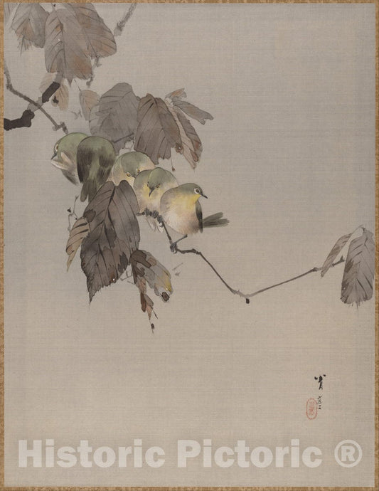 Art Print : Watanabe Seitei - Birds on a Branch - Japan : Vintage Wall Art