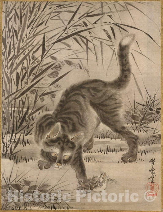 Art Print : Kawanabe Ky?sai - Cat Catching a Frog - Japan : Vintage Wall Art