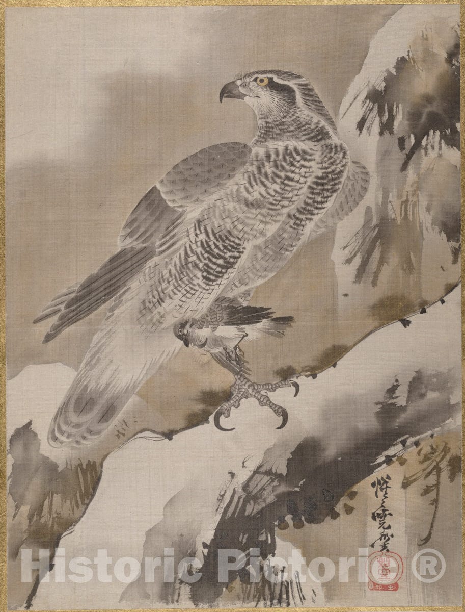 Art Print : Kawanabe Ky?sai - Eagle Holding Small Bird - Japan : Vintage Wall Art