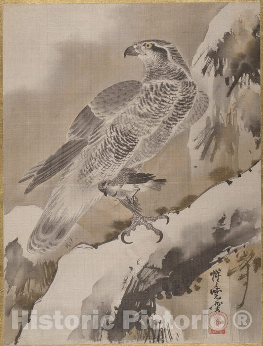 Art Print : Kawanabe Ky?sai - Eagle Holding Small Bird - Japan : Vintage Wall Art