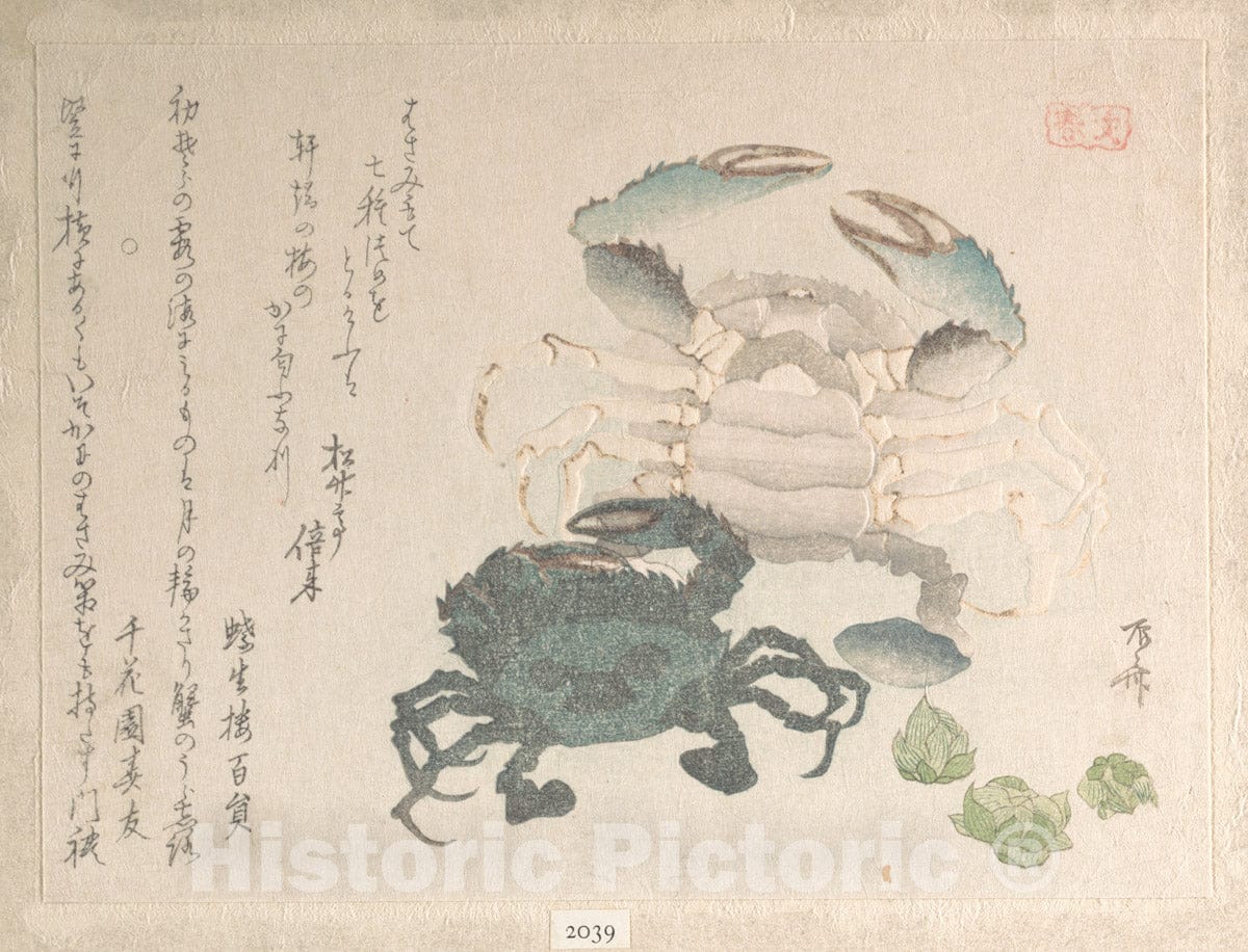 Art Print : Ry?ry?kyo Shinsai - Spring Rain Collection (Harusame sh?), vol. 1: Crabs and Lotus Blossoms - Japan : Vintage Wall Art