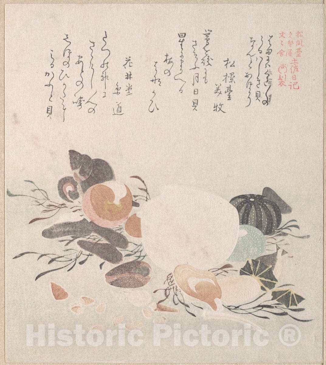 Art Print : Kubo Shunman - Various Shells with Sea Weeds - Japan : Vintage Wall Art
