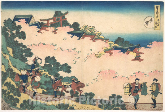 Art Print : Katsushika Hokusai - Cherry Blossoms at Yoshino (Yoshino), from The Series Snow, Moon, and Flowers (Setsugekka) - Japan v.1 : Vintage Wall Art
