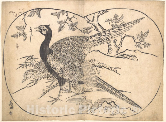 Art Print : Hishikawa Moronobu - Pheasants - Japan : Vintage Wall Art