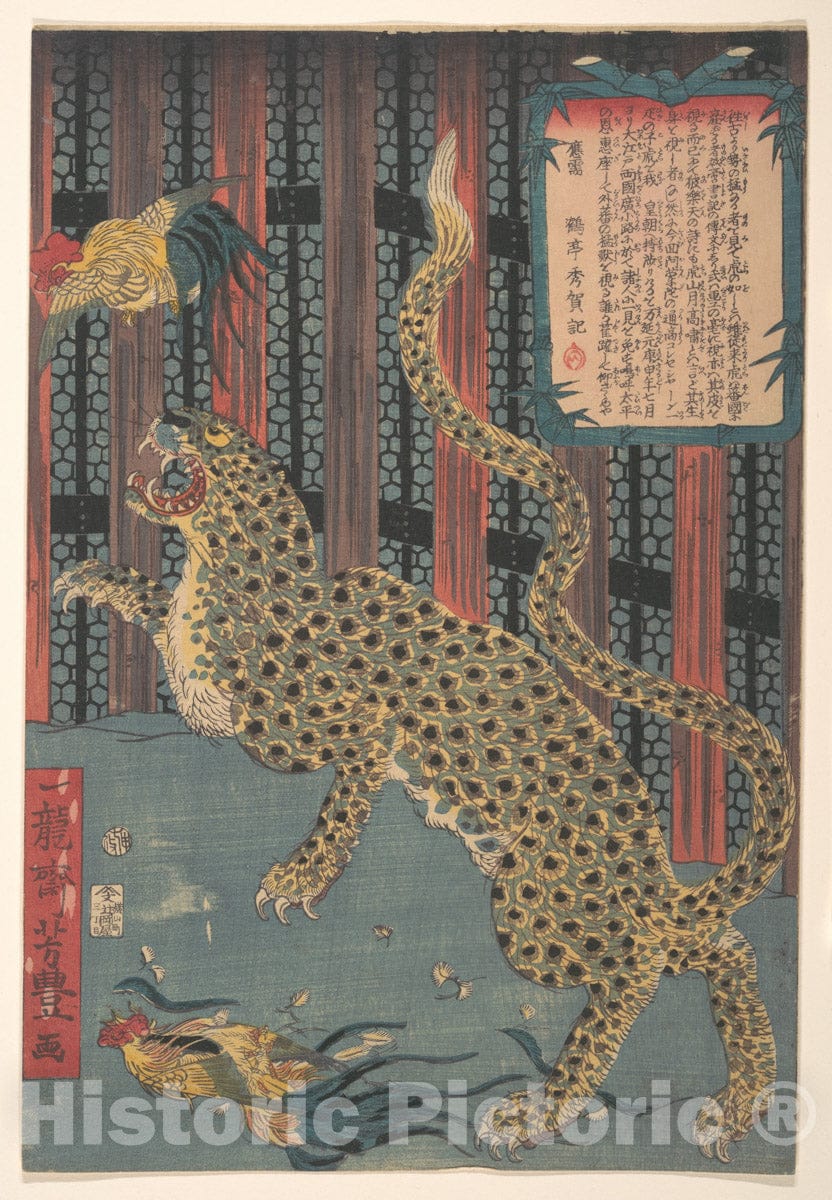 Art Print : Ichiry?sai Yoshitoyo - Tiger in a Cage - Japan : Vintage Wall Art
