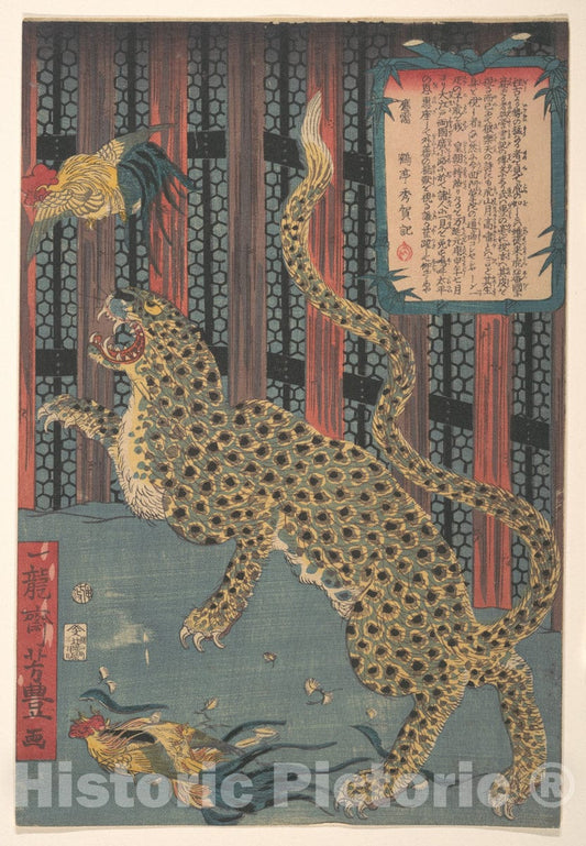 Art Print : Ichiry?sai Yoshitoyo - Tiger in a Cage - Japan : Vintage Wall Art