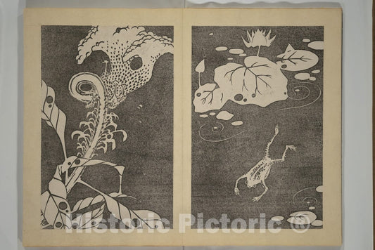 Art Print : It? Jakuch? - Jakuch? Picture Album (Jakuch? gaj?) - Japan : Vintage Wall Art