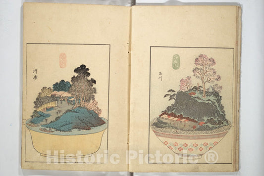 Art Print : Yoshishige - Views of Instructions for Bonsai Along The Fifty-Three Stations of The T?kaid? (T?kaid? goj?santsugi hachiyama zue) - Japan : Vintage Wall Art